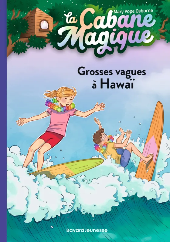 Grosses vagues à Hawaï