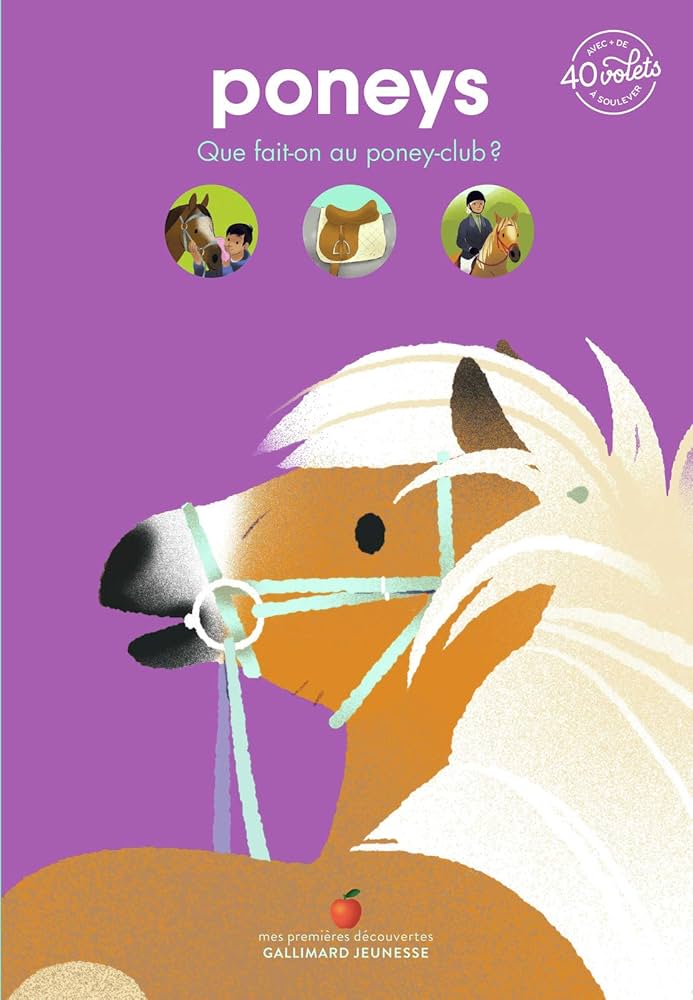 Poneys: Que fait-on au poney-club ?