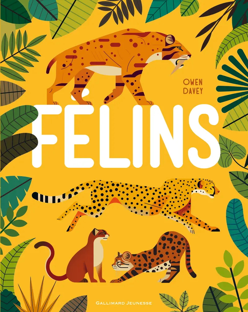 Félins