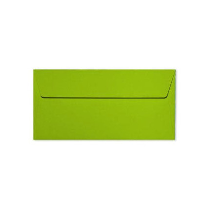 PAQUET 20 ENVELOPPES 11X22CM 120G VERT