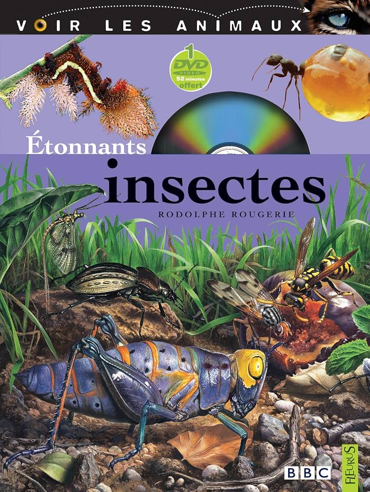 Étonnants insectes