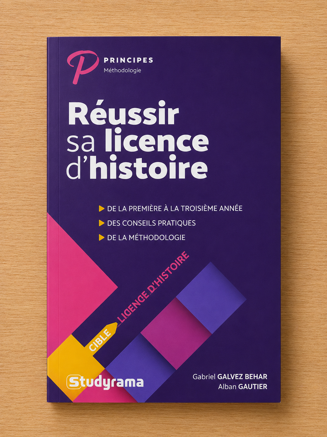 Réussir sa licence d'histoire